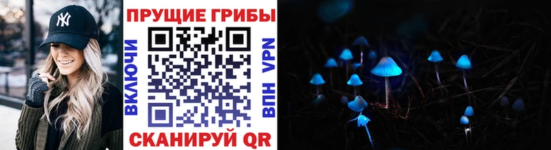 Купить где  Верхняя Тура  Псилоцибиновые грибы MAGIC MUSHROOMS 